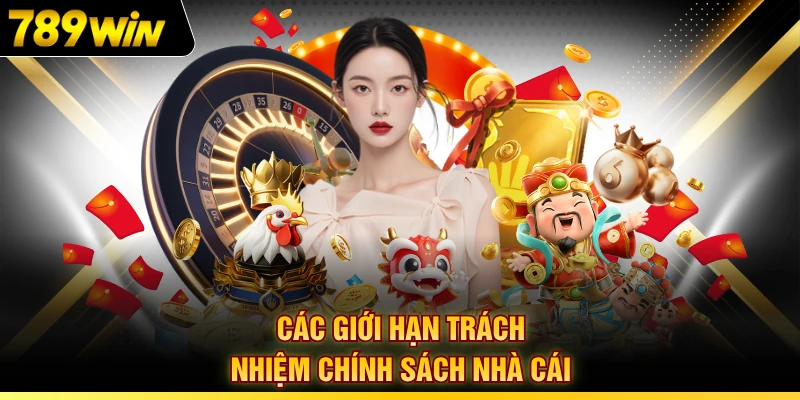 Các giới hạn trách nhiệm chính sách nhà cái