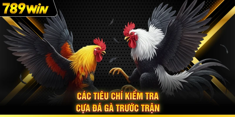 Các tiêu chí kiểm tra cựa đá gà trước trận
