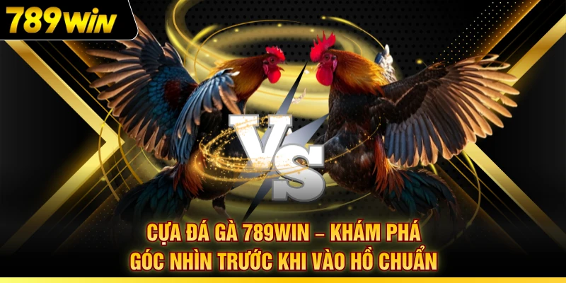 Cựa Đá Gà 789WIN – Khám Phá Góc Nhìn Trước Khi Vào Hồ Chuẩn