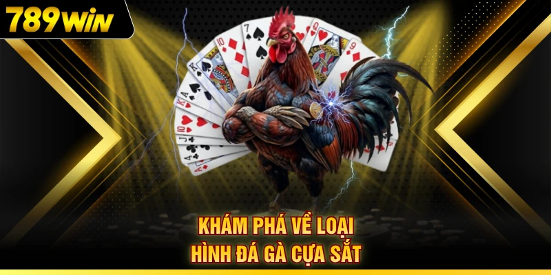 Khám phá về loại hình đá gà cựa sắt