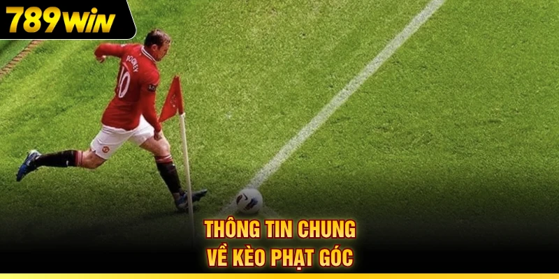 Thông tin chung về kèo phạt góc